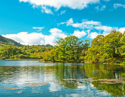 台中出發~品味風華 西密道 五星台北圓山 百年名園雅集二日