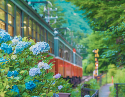 鄒伙遊阿里山 檜木森林列車 品總統御廚佳餚 二日