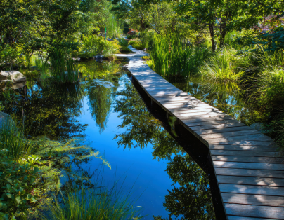 迴到台東 娜路彎集團旗下銀河酒店 鸞山部落 二泊四食深度３日
