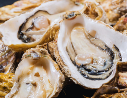 楓玩阿里山~烤蚵吃到飽、關子嶺泥漿溫泉  二泊四食三日