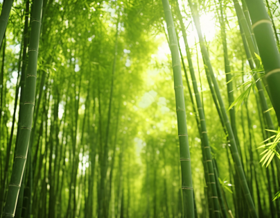 嘉驛風華 台版京都嵐山竹林 州際集團旗下嘉義福容voco酒店二日