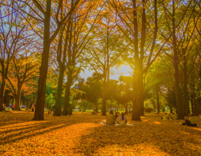 山嵐 Chill 探險  五星礁溪寒沐一泊二食   奢華溫泉2日