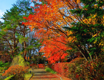 
鄒伙遊阿里山 檜木森林列車 品總統御廚佳餚二日