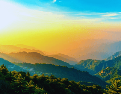 鄒伙遊阿里山 檜木森林列車 品總統御廚佳餚 二日