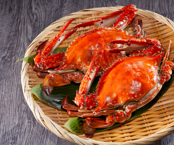 【春節】北海道破冰船+北國玩雪三合一三大蟹吃到飽五日