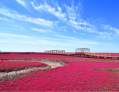百年楓王 關門山紅葉 紅海灘 長白山 鏡泊湖 哈爾濱八日(含稅)