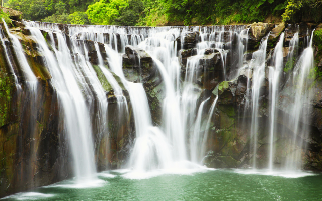 《季節限定 沉靜式採蜂體驗》淡碇蜂富台版尼加拉瀑布君悅二日 贈小費