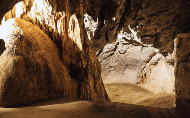 台中出發~野百合的春天！台版小敦煌 台北茹曦酒店 一泊三食2日