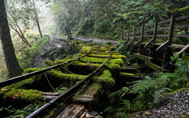 秋賞見晴 五星台北漢來 太平山蹦蹦車 一泊二食2日