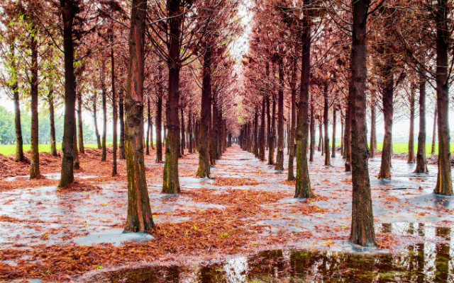 山嵐Chill探險  五星礁溪寒沐一泊二食2日