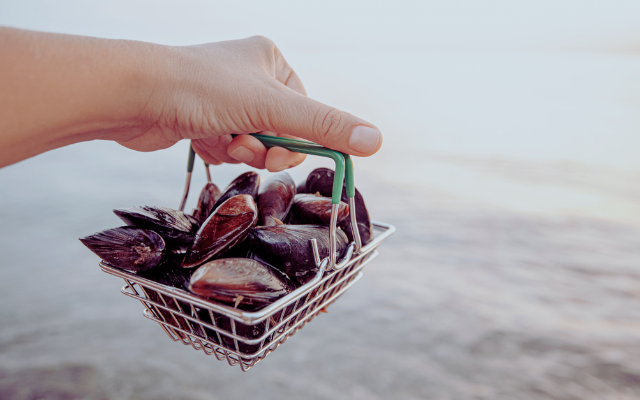 2024新開幕馥御花園酒店 漁村體驗摸蛤趣 一泊二食彰化2日