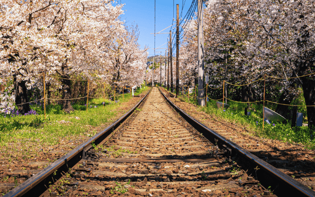 花旗木鐵道 台版迪士尼城堡 雲嘉二日