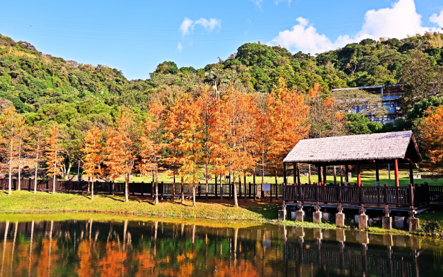 秋意森境～三灣落羽松.谷關溫泉.林酒店二日