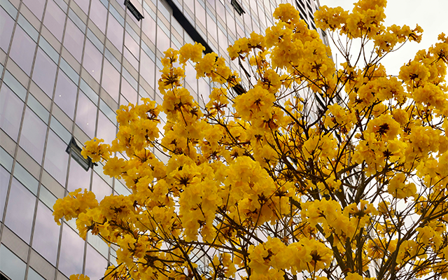 雙五星饗宴 台南晶英、林酒店二泊四食 3日