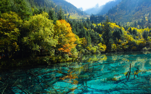 春熙九寨黃龍.峨嵋山.樂山八日 