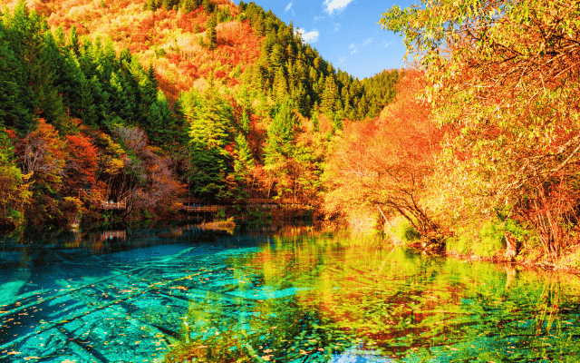 九寨東西環線~九寨溝.黃龍.峨嵋山.樂山八日