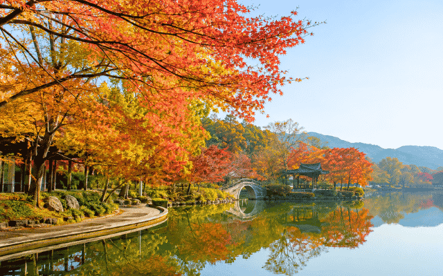 雲山黃山~秘境浴鵠灣賞楓大閘蟹千島湖八日(山上兩晚)