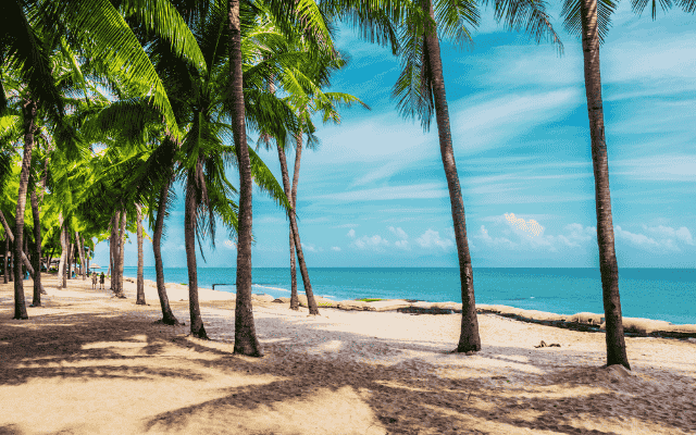 海南島風情考察團六日-無自費 三亞進出