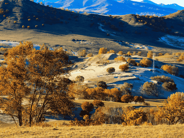 牧民生活體驗 內蒙古希拉穆仁大草、響沙灣 、成吉思汗陵8日(含二段動車)