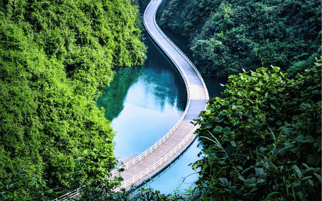 重慶全覽考察團8日