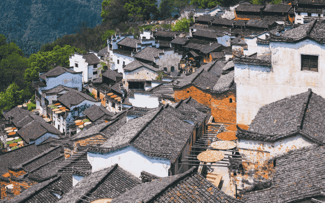 江西婺源篁嶺、景德鎮、龍虎山、葛仙村 望仙谷、靈山考察團八日