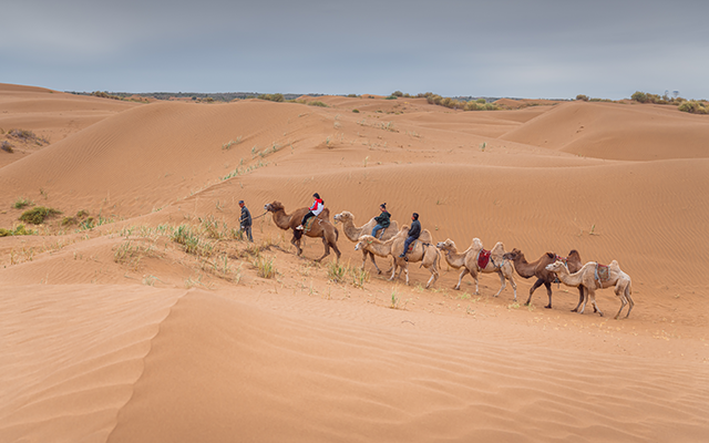 內蒙古希拉穆仁大草、響沙灣 、成吉思汗陵8日(含二段動車)