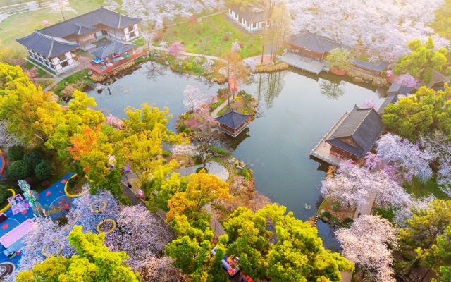 花漾爭豔.五星江南6日 黿頭渚 幕燕濱江大道 花谷奇緣 興化油菜花海