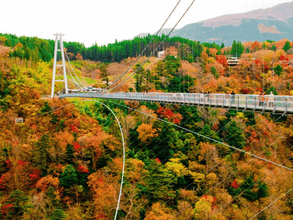 楓趣九州  九州福岡紅葉楓旅×纜車遊船×三大蟹溫泉精選5日