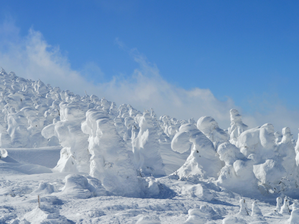 冬季限定 藏王樹冰與三湯巡禮東北浪漫 6 日遊