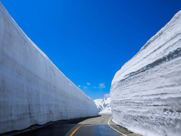 春季開山 春日雪櫻紀行：立山黑部大雪壁與關西絕景五日