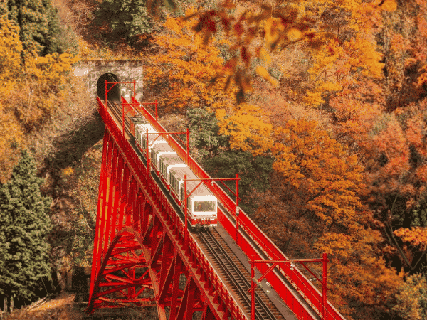 秋日紅葉之旅 秋日紅葉紀行：立山黑部・輕井澤・黑部峽谷鐵道・白川鄉合掌村六日遊