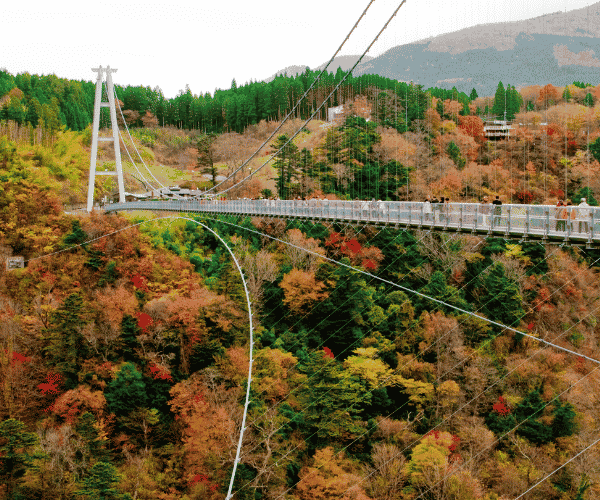  九州福岡紅葉楓旅×纜車遊船×三大蟹溫泉精選5日