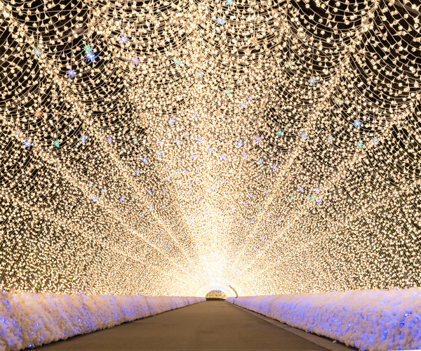 北陸冬雪光舞曲名花之里燈彩與飛騨之里合掌村點燈浪漫之旅