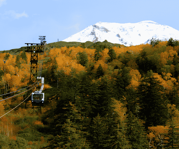 北海道大雪山旭岳纜車+洞爺湖花火節+三大蟹賞楓五日