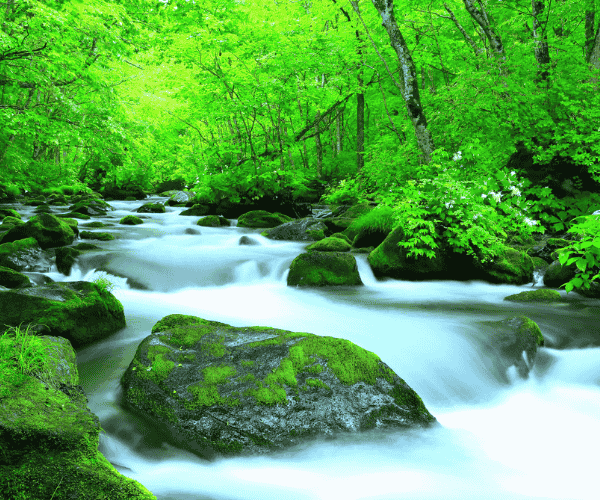 2026夏綠東北~奧入瀨溪清流散策.秋田內陸鐵道山林旅情5日