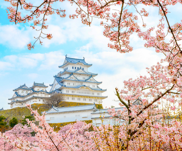 關西櫻花名所百選之旅・三大世界遺產・伊根舟屋・吉野山5日遊