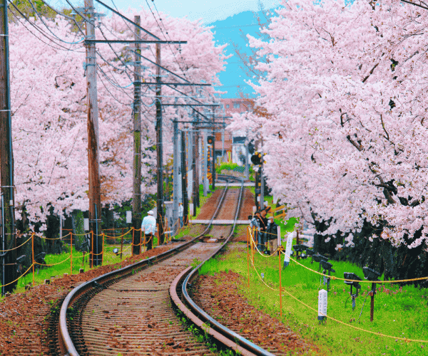 2026東北櫻花百選名所.浪漫會津鐵道.藏王纜車溫泉美食5日
