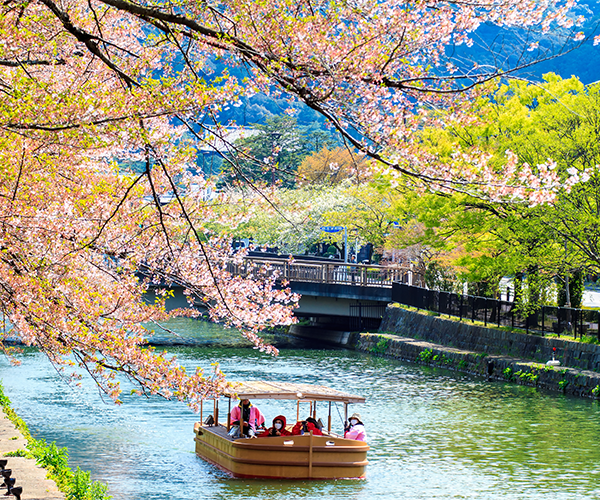 九州熊本人氣鐵道×海鮮市場×溫泉三大蟹精選五日
