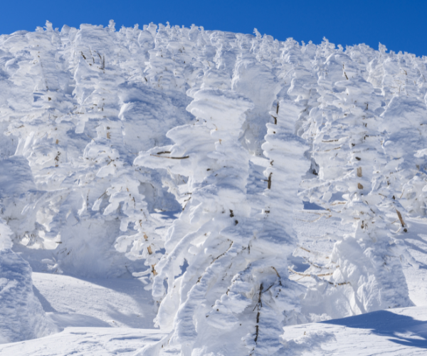 冬季限定！藏王樹冰與三湯巡禮東北浪漫6日遊