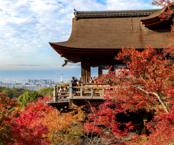 賞楓京阪神~漫步淡路島．嵐山渡月橋．清水寺．神戶百匯放題5日
