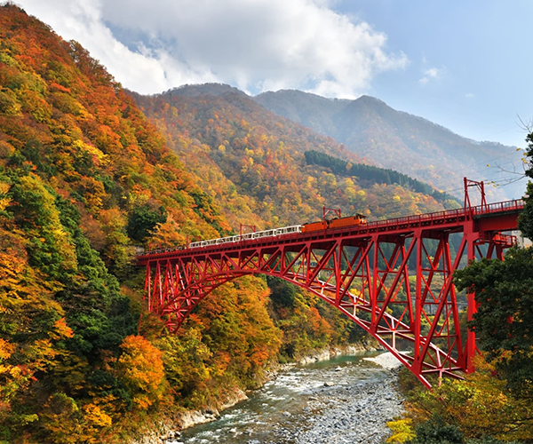 秋遊東京輕井澤．神的故鄉上高地．黑部峽谷鐵道.小布施町溫泉美食六日