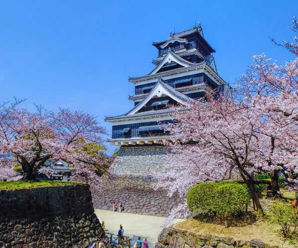 熊本賞櫻百選~海之中道櫻花廊x季節採草莓x三大蟹溫泉五日