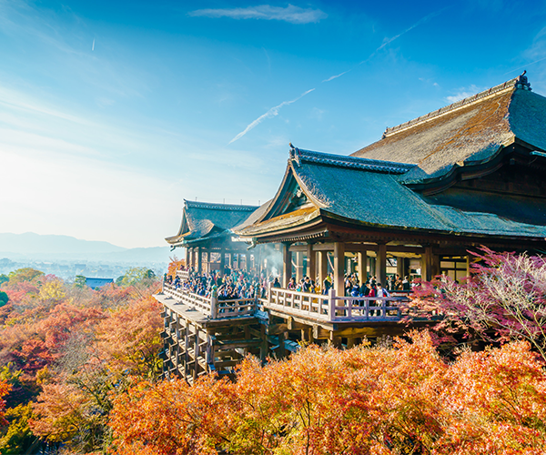 賞楓京阪神~漫步淡路島.嵐山.清水寺.神戶百匯放題5日