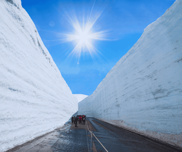 春日雪櫻紀行：立山黑部大雪壁與關西絕景五日