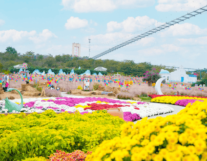 【春熙九寨】九寨溝.黃龍.峨嵋山.樂山八日