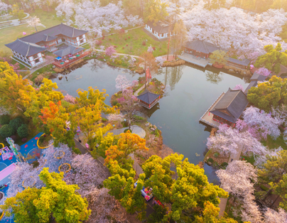 花漾爭豔.五星江南6日 黿頭渚 幕燕濱江大道 花谷奇緣 興化油菜花海 