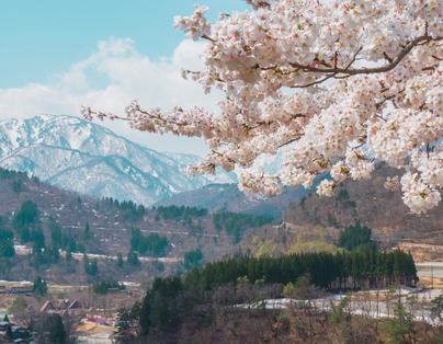 【醉美是梨】金川梨花季.四姑娘.丹巴.木格措8日
