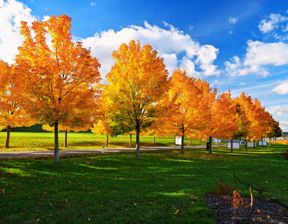 台中出發~冬戀蘭陽 海鮮燒烤吃到飽 五星瓏山林饗宴2日~升等雙湯池兩大床