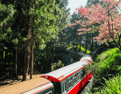 台中出發~阿里山櫻花祭~烤蚵吃到飽、關子嶺泥漿溫泉二泊四食3日