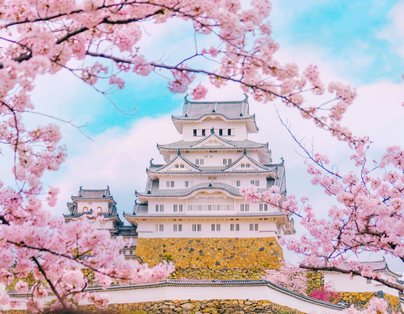 關西櫻花名所百選之旅：三大世界遺產
伊根舟屋、吉野山 5 日遊
